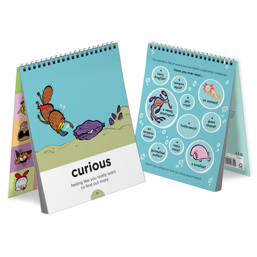 BBF Curious Flipbook - Product Page Carousel