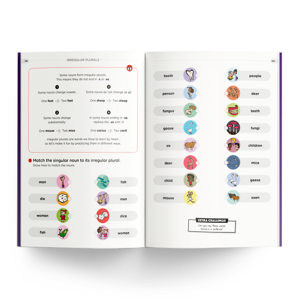 Irregular Plurals Carousel 5