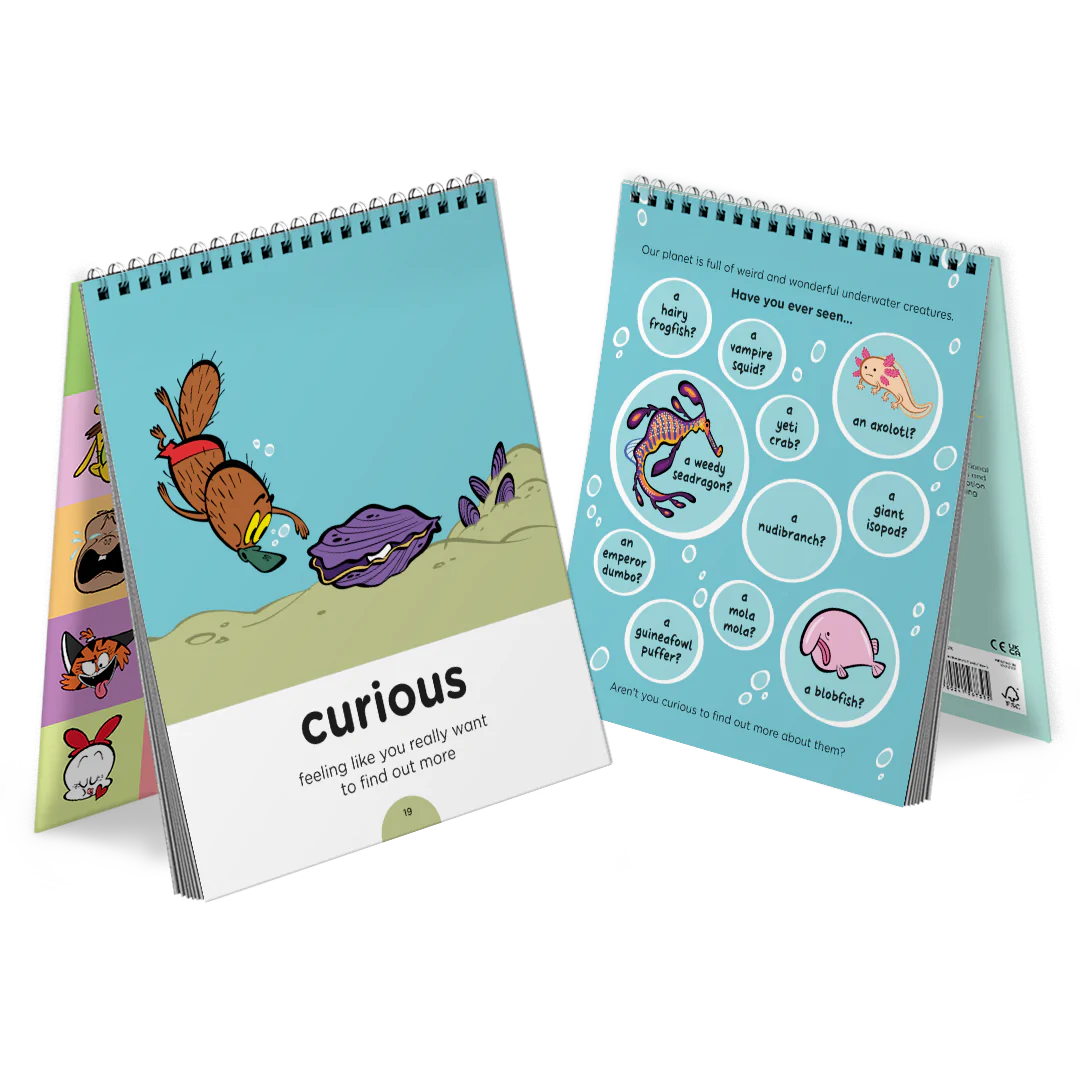 BBF UK Curious word book carousel