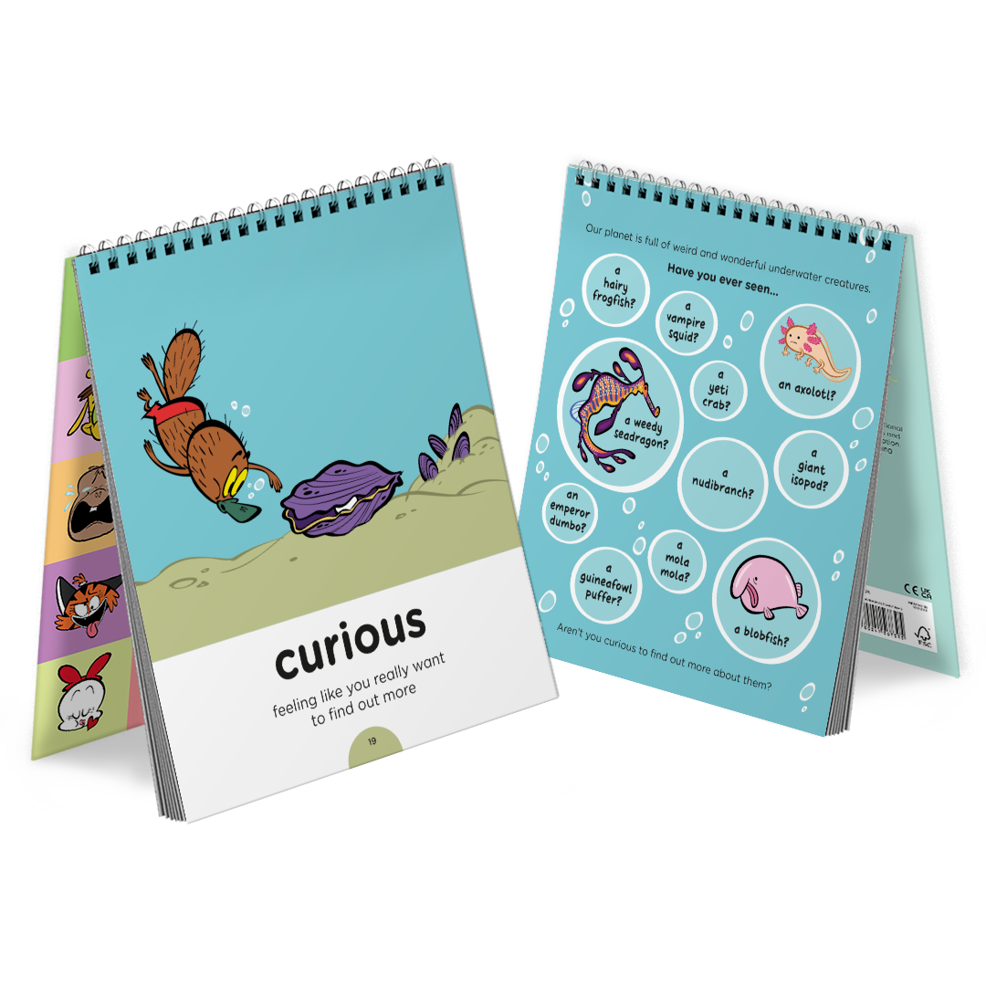 BBF Curious Flipbook - Product Page Carousel