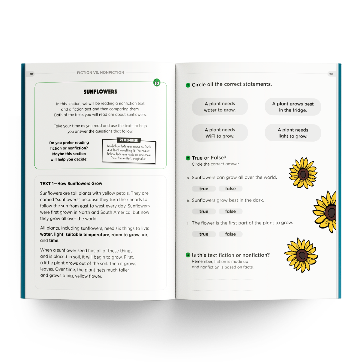Grade 2 Monumental Workbook - Sunflowers Lesson