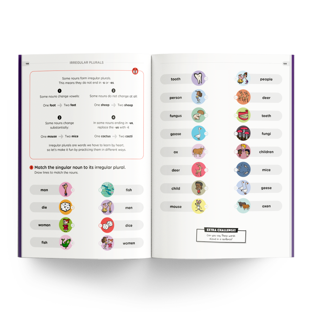 Irregular Plurals Carousel 5