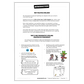 Year 1 Spelling Practice Overview