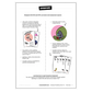 Year 3-4 Spelling Practice Pack Overview