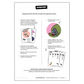 Year 3-4 spelling practice pack overview