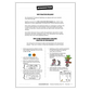 Spelling practice Y3-4 target overview