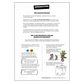 Introduction to Mrs Wordsmith resources
