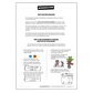 Overview of Spelling Practice