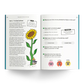 Giant Sunflower story