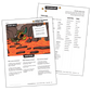 prompts & vocabulary