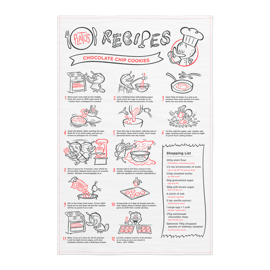 Recipe for Chocolate Chip Cookies